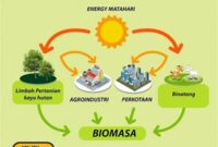 pemanfaatan-biomassa-untuk-energi_944b782b8.jpg