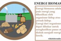 penggunaan-biomassa-sebagai-energi-alternatif_5d2fd9717.jpg